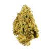 9 Pound Hammer Strain