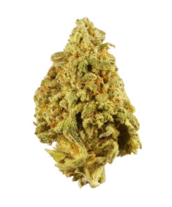 9 Pound Hammer Strain