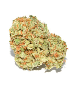 9 Pound Hammer Strain