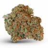 ACDC Strain