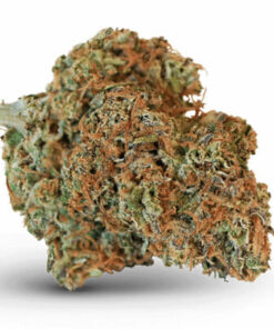 ACDC Strain