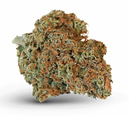 ACDC Strain ACDC Strain
