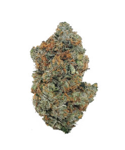 Ace Killer OG Strain