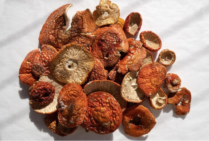 Amanita Muscaria Mushroom Amanita Muscaria Mushroom