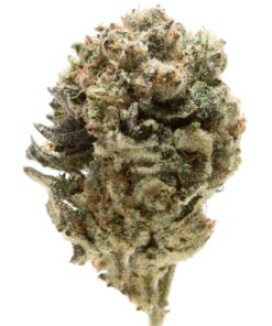 Animal Mints Strain