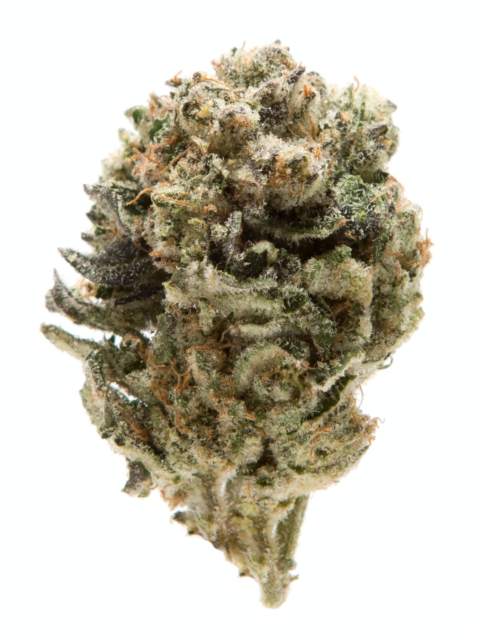 Animal Mints Strain Animal Mints Strain