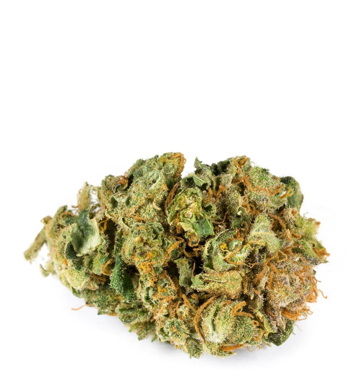 Avidekel CBD Strain Avidekel CBD Strain