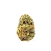 BC Big Bud Strain