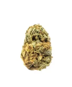 BC Big Bud Strain