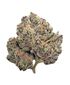 Blue Rhino Strain