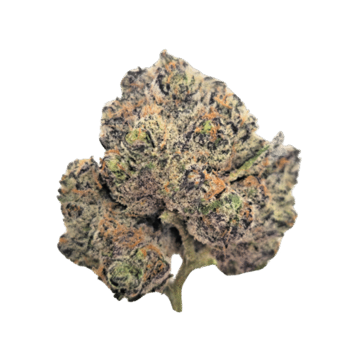 Blue Rhino Strain
