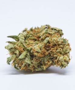 Boss Hog Strain