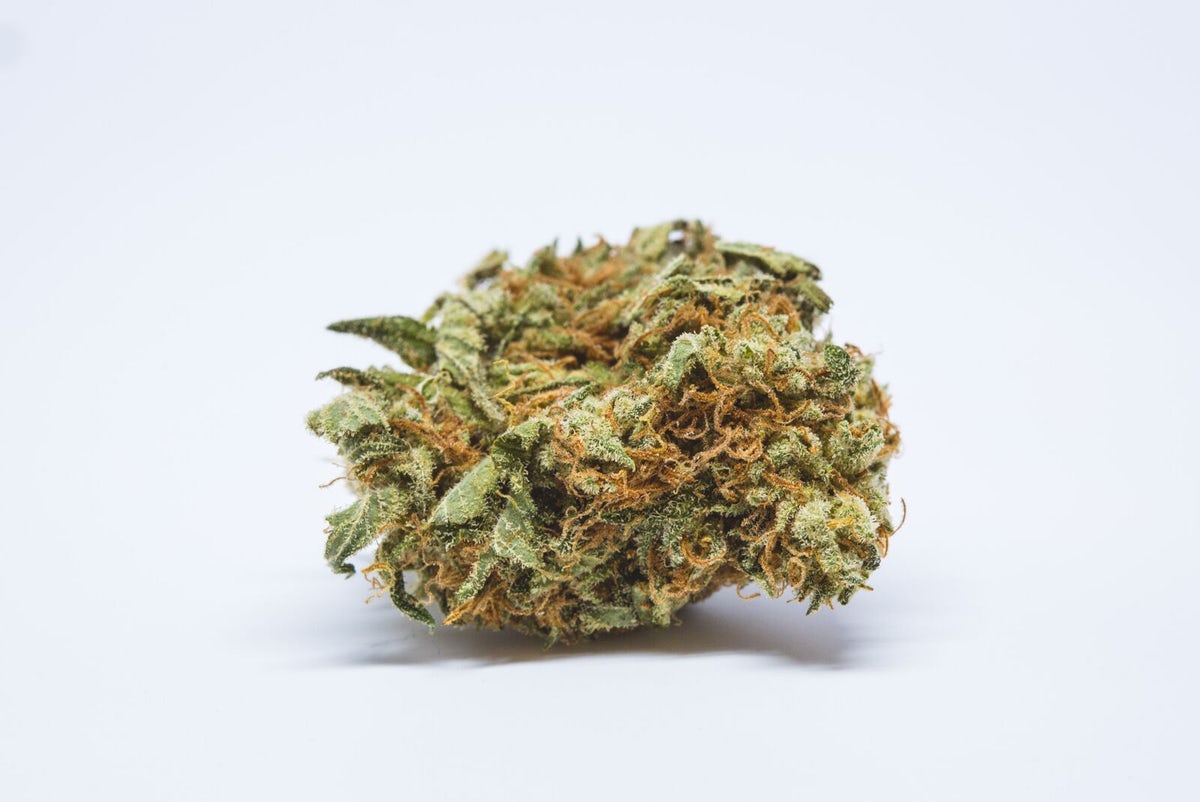 Boss Hog Strain Boss Hog Strain