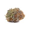 Blueberry Strain