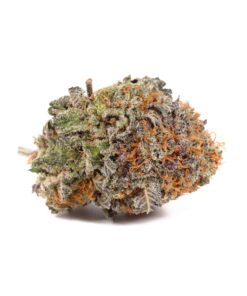 Blueberry Strain