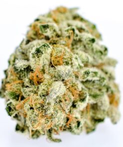 London Pound Cake Strain