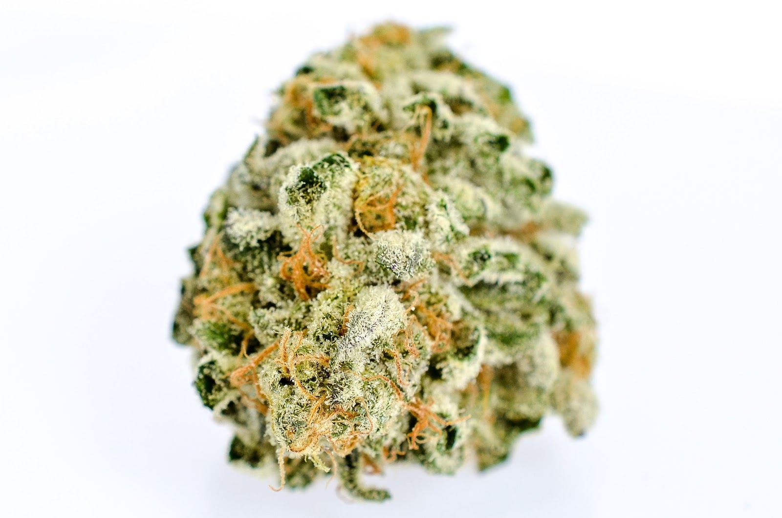 London Pound Cake Strain London Pound Cake Strain
