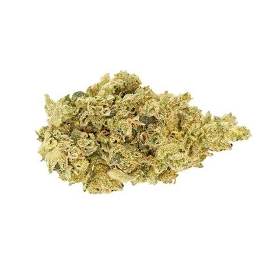 CBD Shark CBD Shark