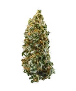 Cannatonic Strain