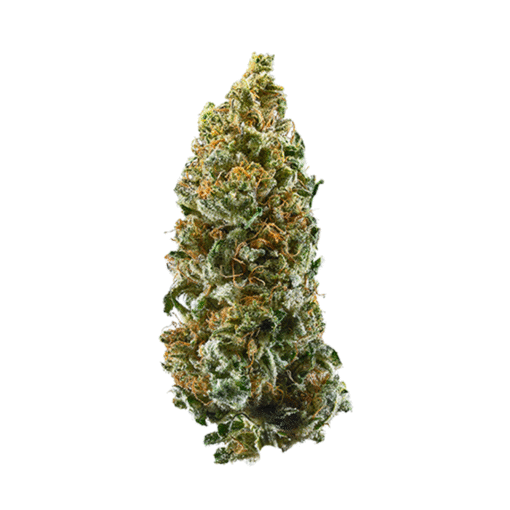 Cannatonic Strain