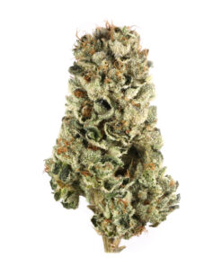 Cherry Pie