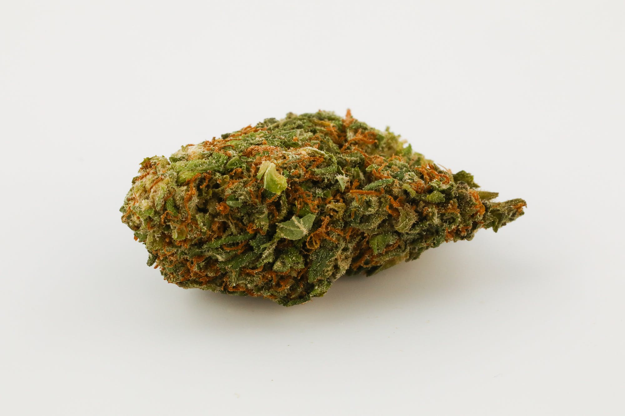 Confidential Cheese Strain Confidential Cheese Strain