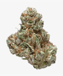 Cotton Candy Kush