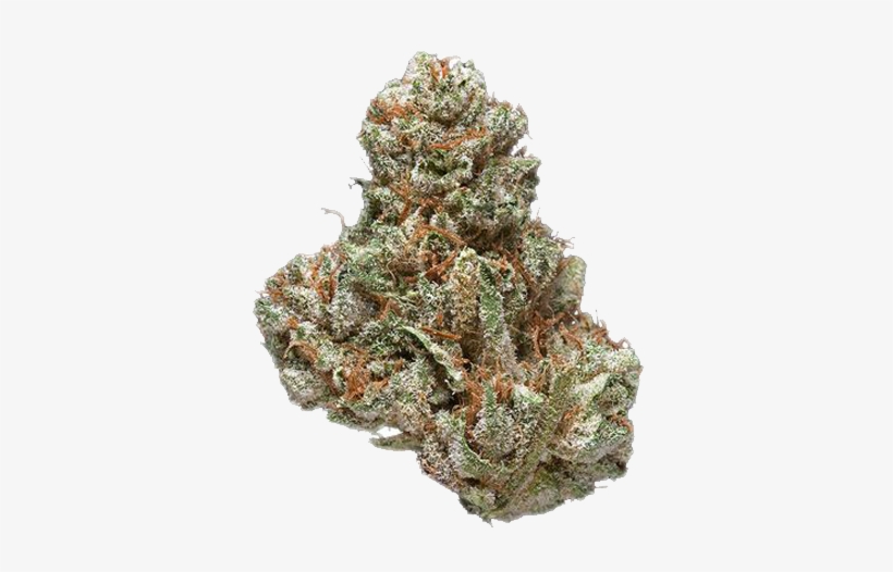 Cotton Candy Kush Cotton Candy Kush