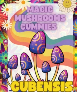 Paddo Gummies 50mg – Gouden leraar