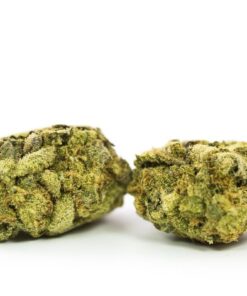 Dark Star Strain