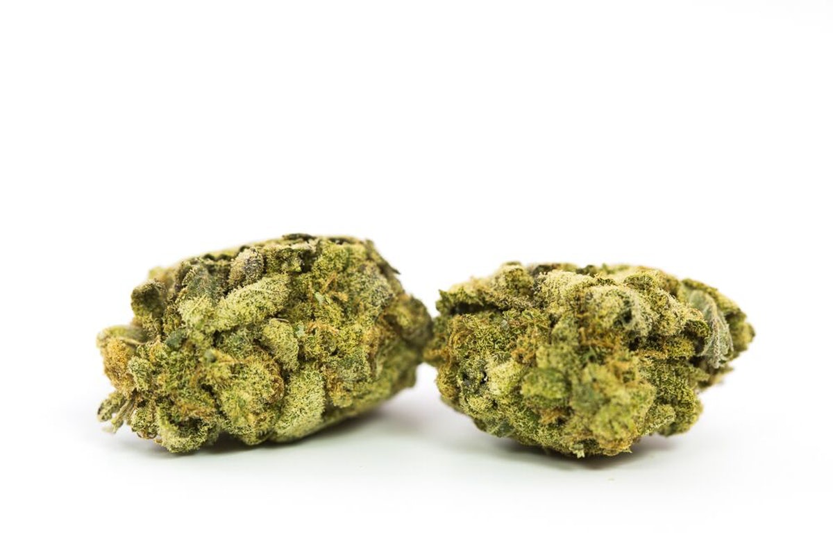 Dark Star Strain Dark Star Strain