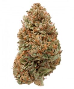 Delta 8 Hawaiian Haze Hemp Flower