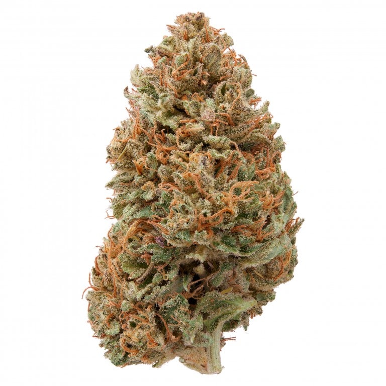 Delta 8 Hawaiian Haze Hemp Flower Delta 8 Hawaiian Haze Hemp Flower