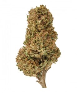 Delta 8 Sour Space Candy Hemp Flower