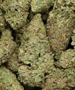 Dirty Girl Weed Strain