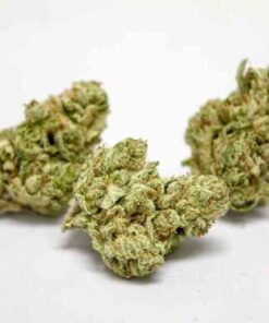 FACE OFF OG