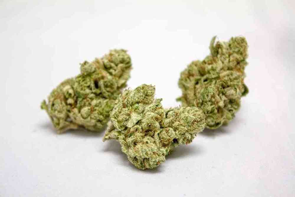 FACE OFF OG FACE OFF OG