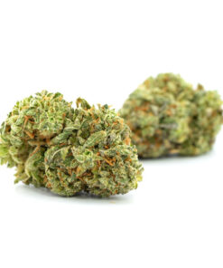 G13 Haze Strain