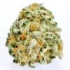 Garlic Cookies Strain