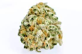 Garlic Cookies Strain Garlic Cookies Strain