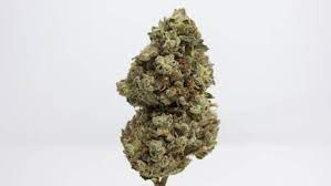 Garlic Cookies Strain Garlic Cookies Strain