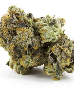 Gas Strain