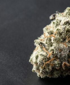 Gelato 33 Strain