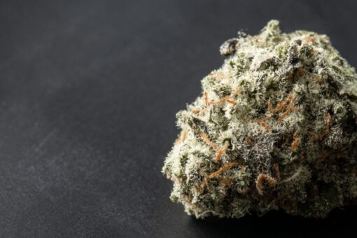 Gelato 33 Strain