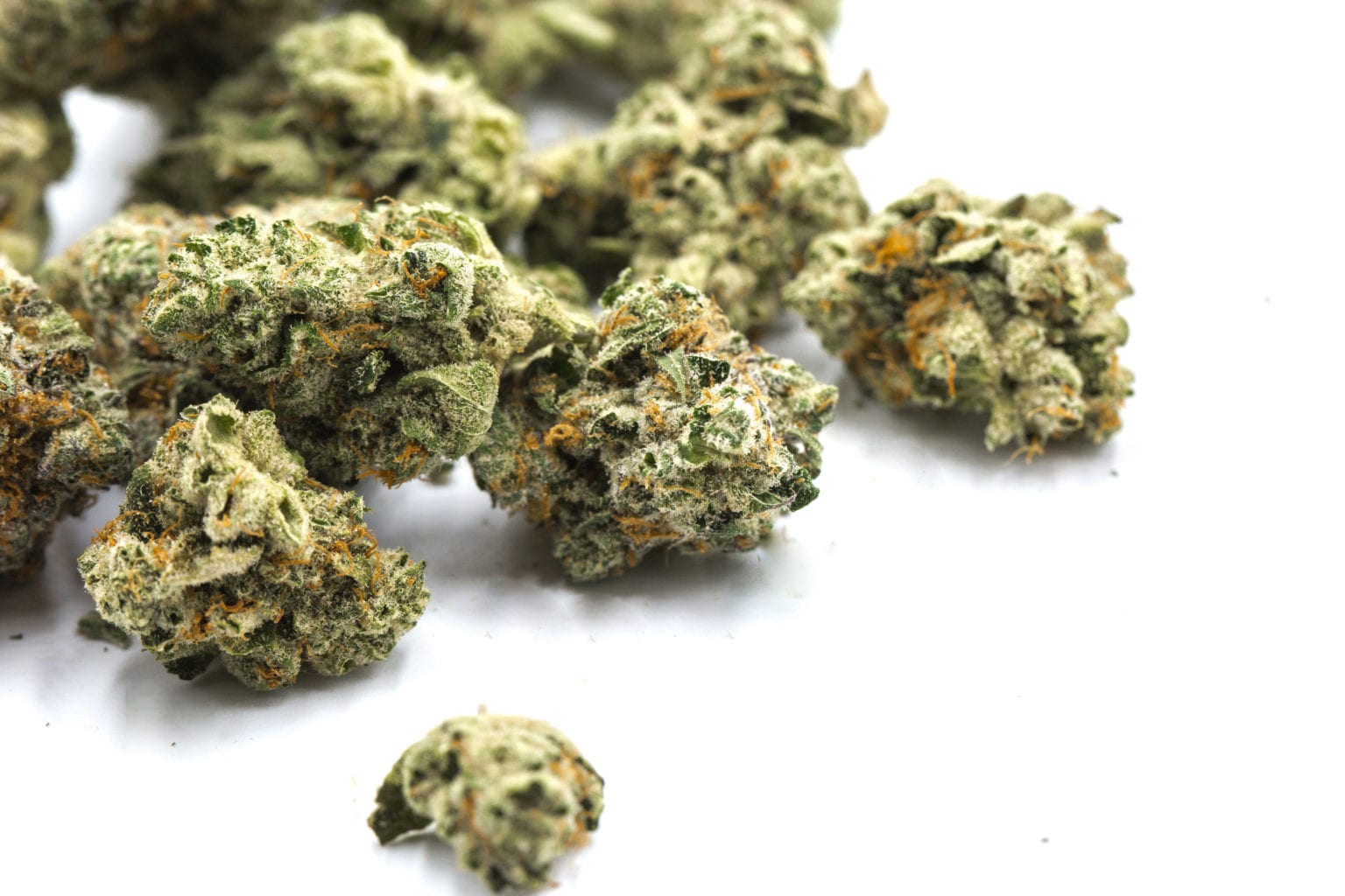 Gelato 33 Strain Gelato 33 Strain
