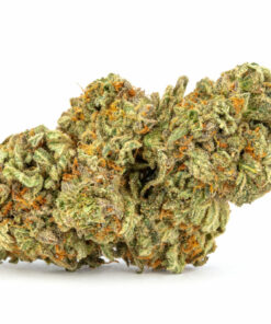 Girl Scout Cookies