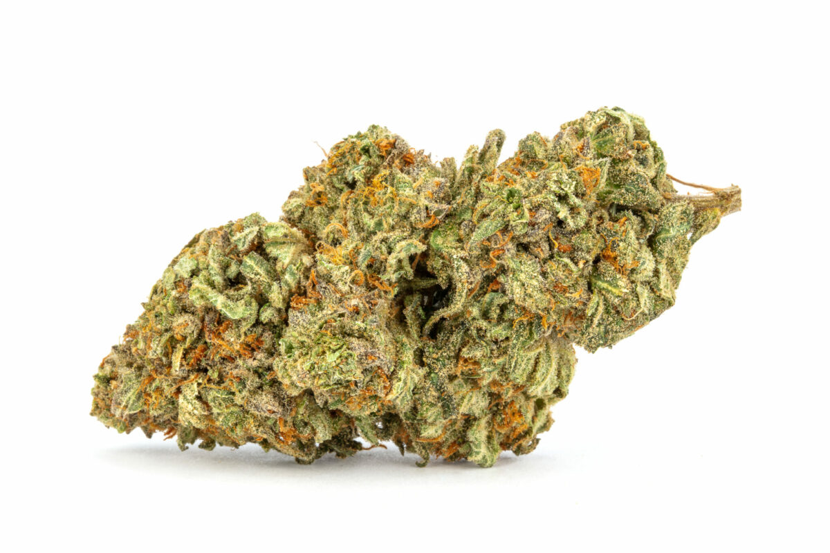 Girl Scout Cookies Girl Scout Cookies