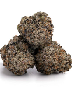 Grandaddy Purple Kush