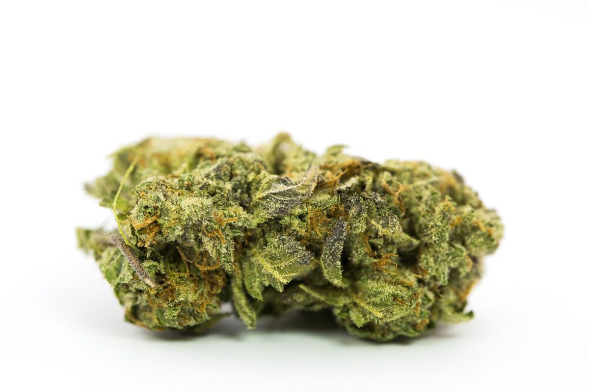 Grand Master Kush Strain Grand Master Kush Strain