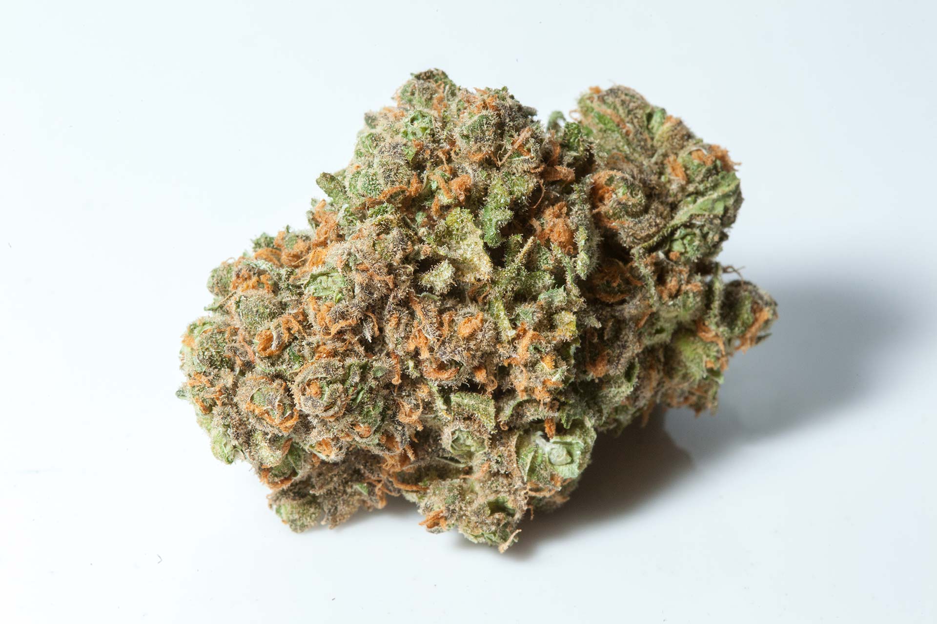 Green Crack Strain Green Crack Strain